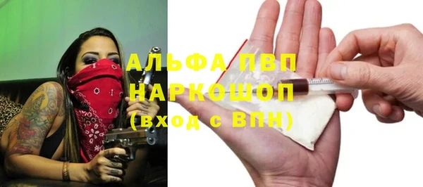 крисы Богданович