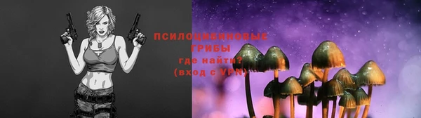 крисы Богданович
